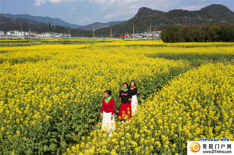 贵州从江:和美乡村春意浓(图8) 贵州从江:和美乡村春意浓(图8)