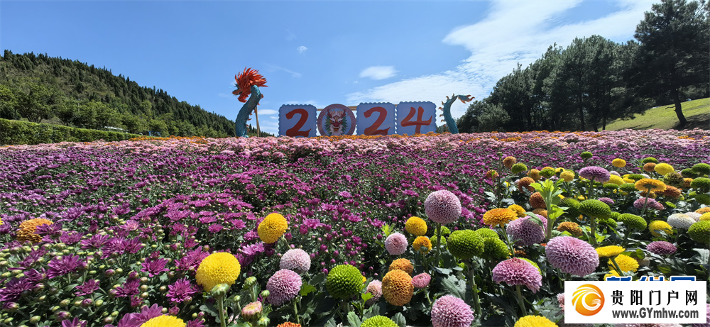 贵州麻江:五彩花海引客来(图8) 贵州麻江:五彩花海引客来(图8)