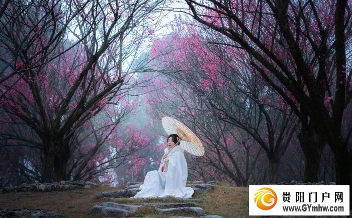 本周六开园!贵州梅园游玩攻略(图1) 本周六开园!贵州梅园游玩攻略(图1)