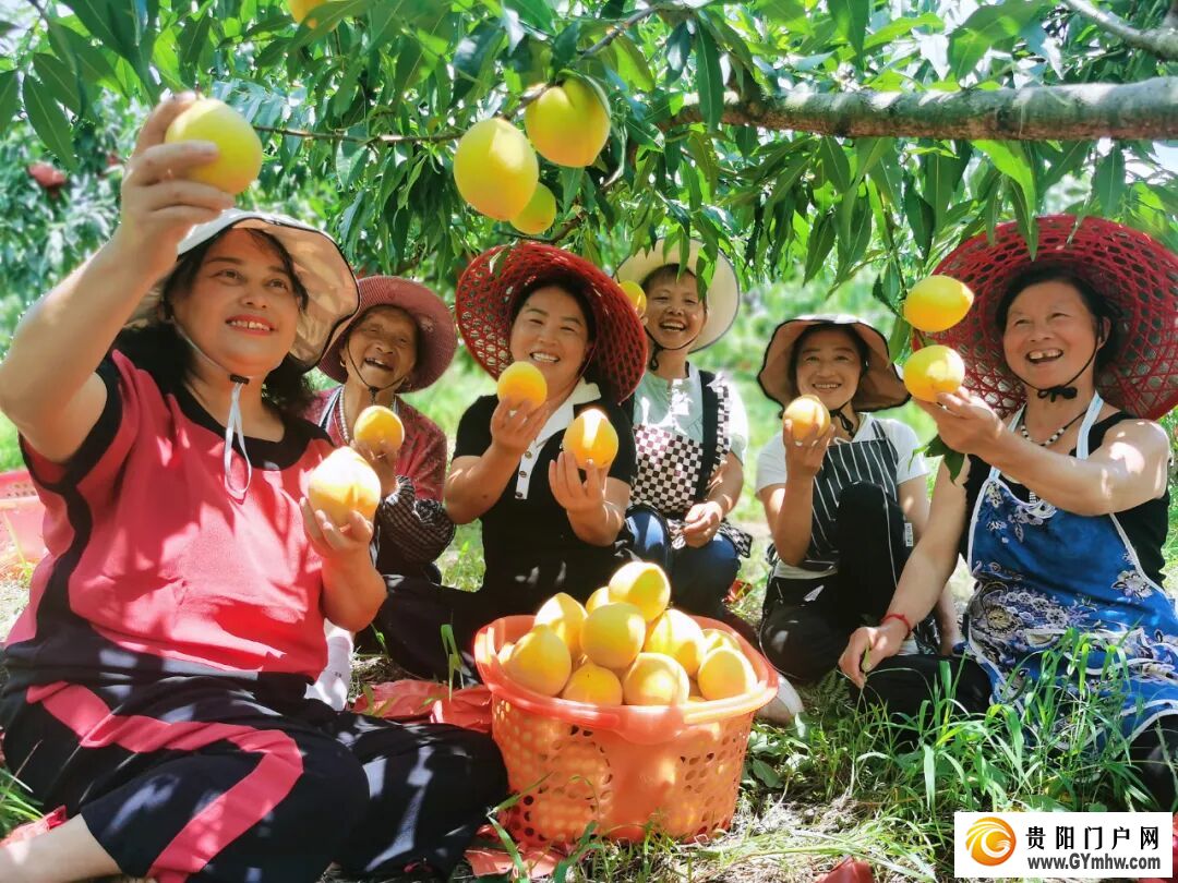 山河为卷,答一场高质量发展的时代之问——平坝区“十四五”时期高质量发展综述(图4) 山河为卷,答一场高质量发展的时代之问——平坝区“十四五”时期高质量发展综述(图4)