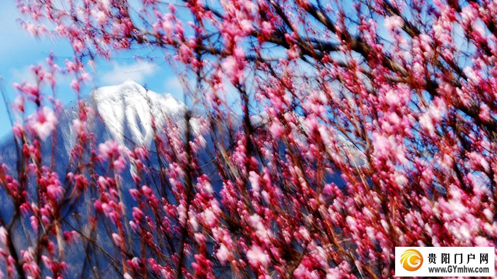 快出发！这些地方陆续美成仙境！(图5)