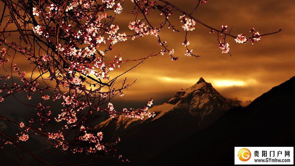 快出发！这些地方陆续美成仙境！(图4)