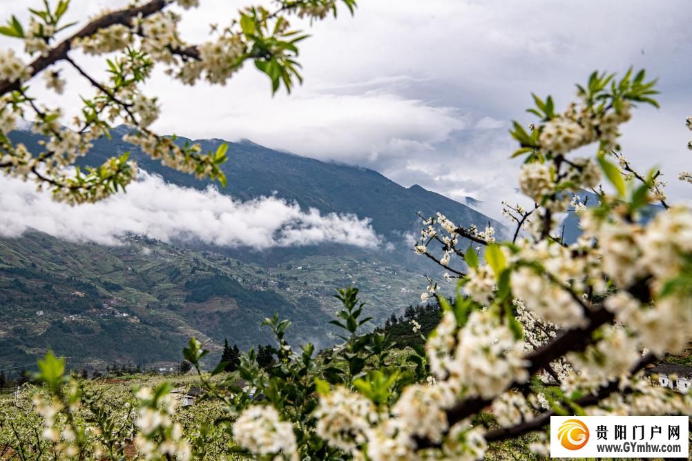 快出发！这些地方陆续美成仙境！(图19)