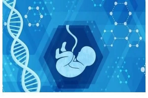 三代试管婴儿 试管鲜胚移植hcg数值越来越低怎么办?为什么hcg数值会越来越低(图2)